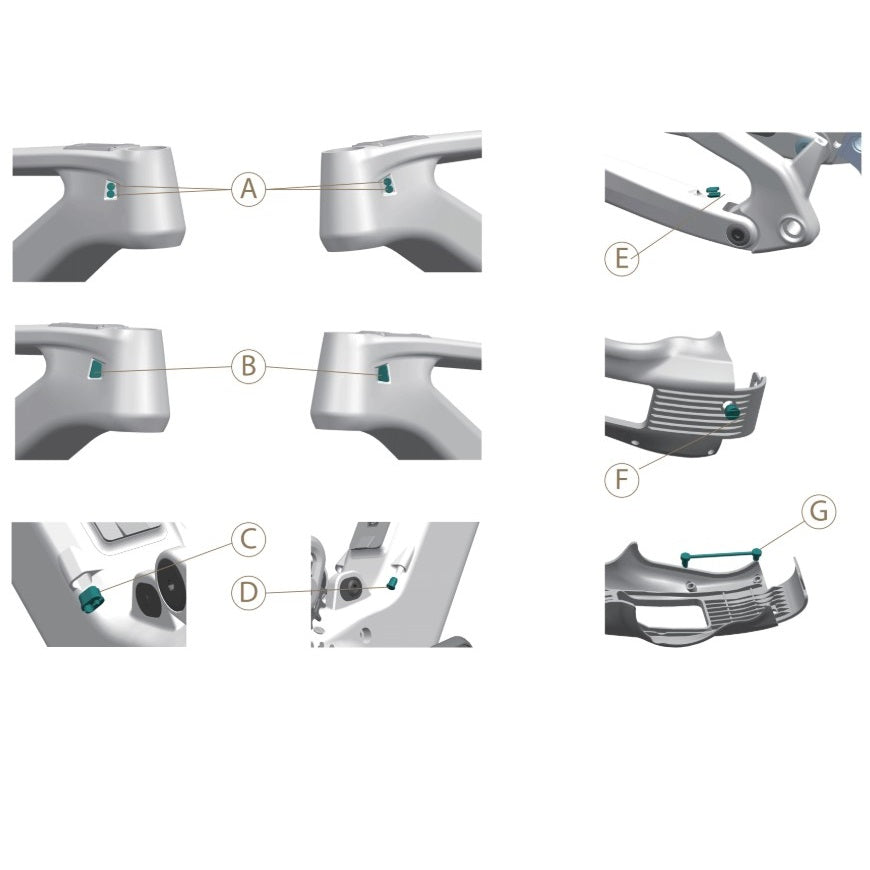 ROGUE FRAME PLUG SET